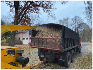 Woodchips